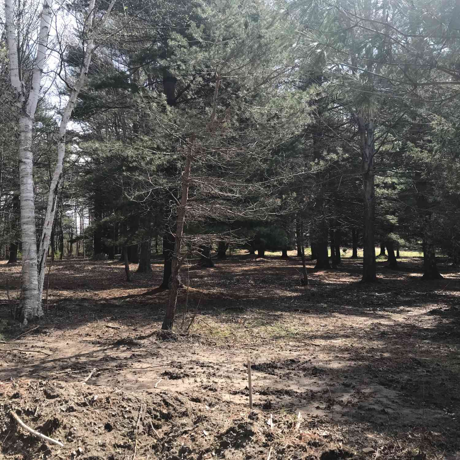 Vacant Land For Sale - 7087 Creekwood Drive<br/> South Haven, MI 49090