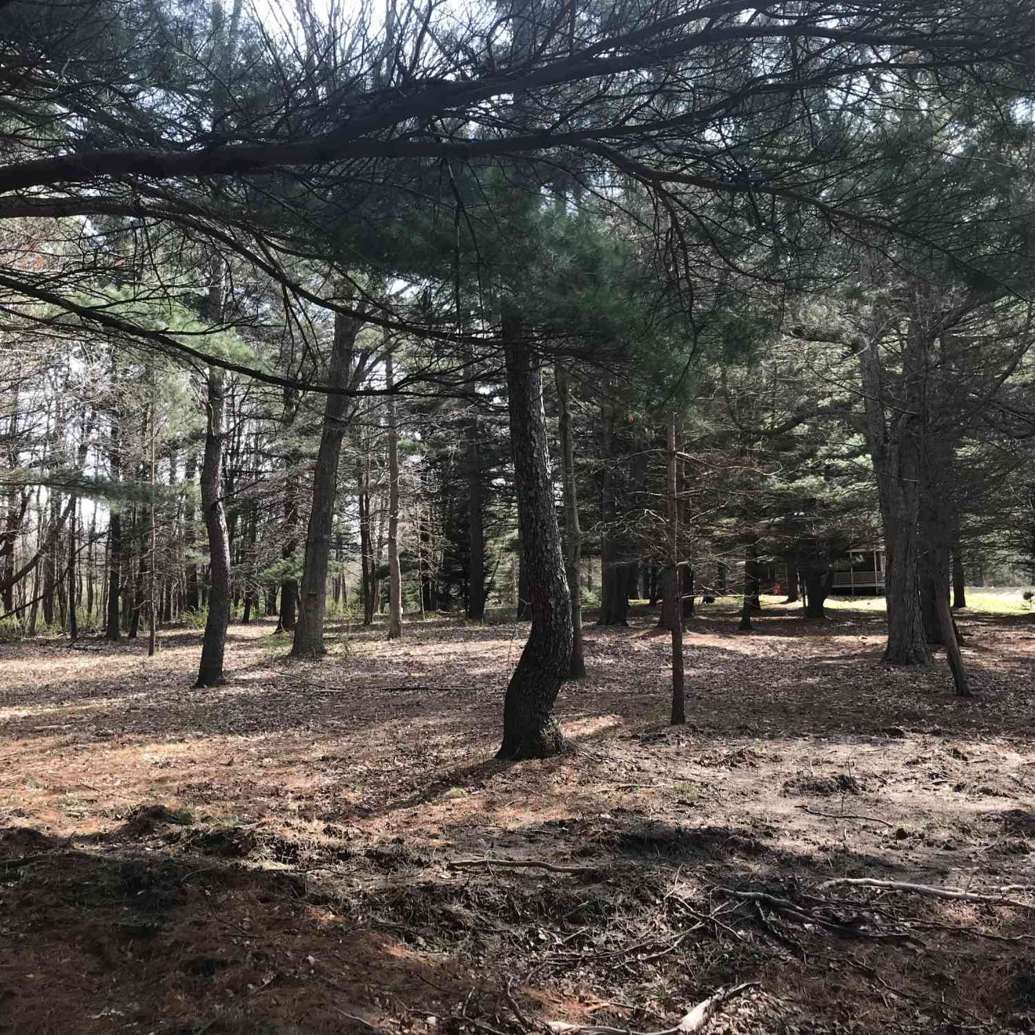 Vacant Land For Sale - LOT 1 Creekwood Drive<br/> South Haven, MI 49090