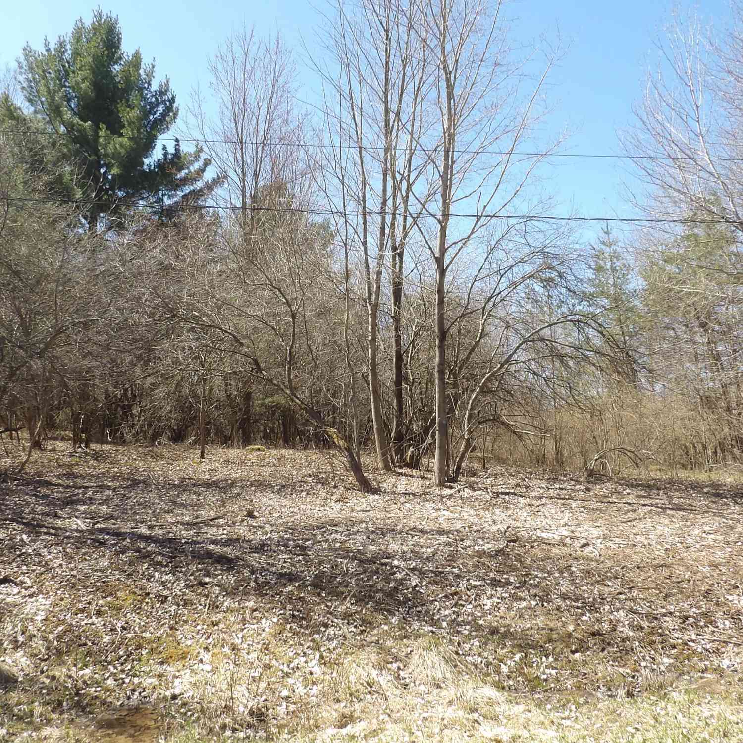 Vacant Land For Sale - 23094 Apache Trail<br/> Evart, MI 49631