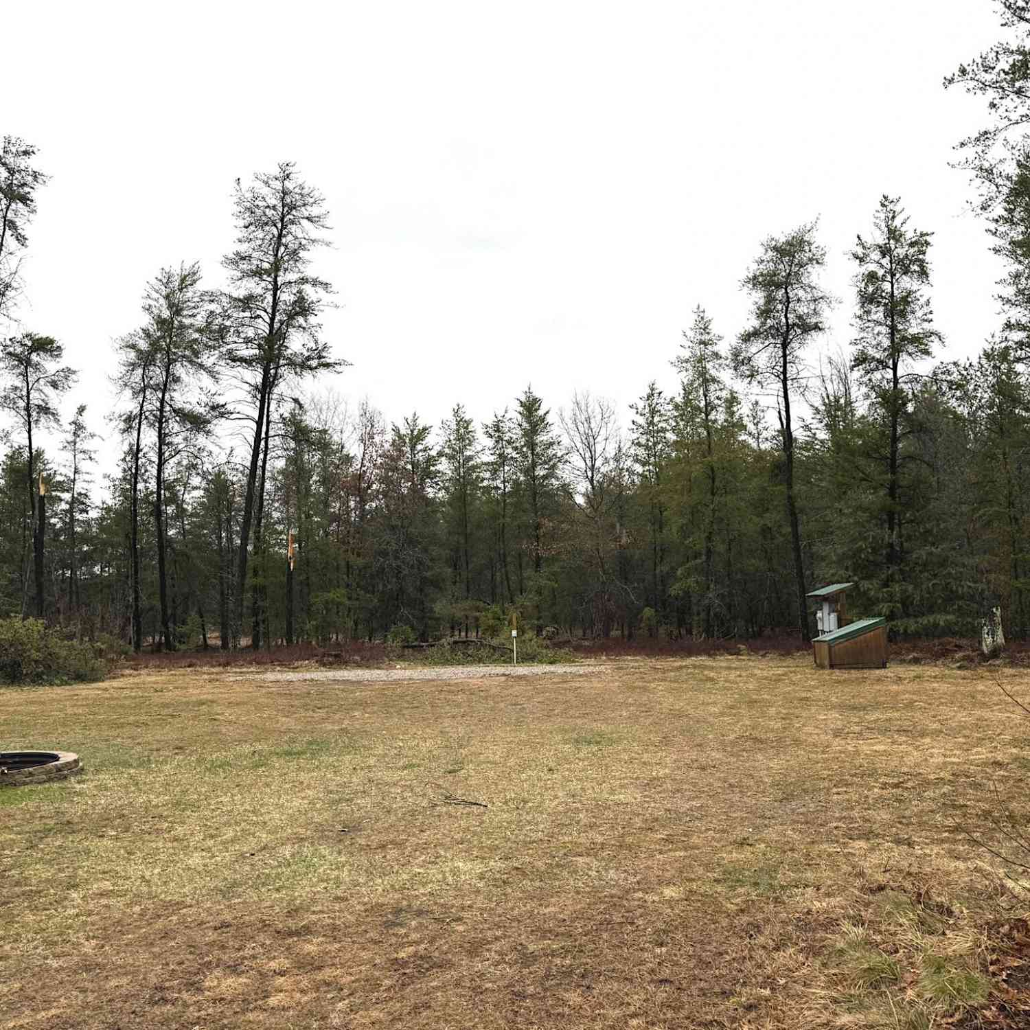 Vacant Land For Sale - 1388 W 10 Mile Road<br/> Irons, MI 49644