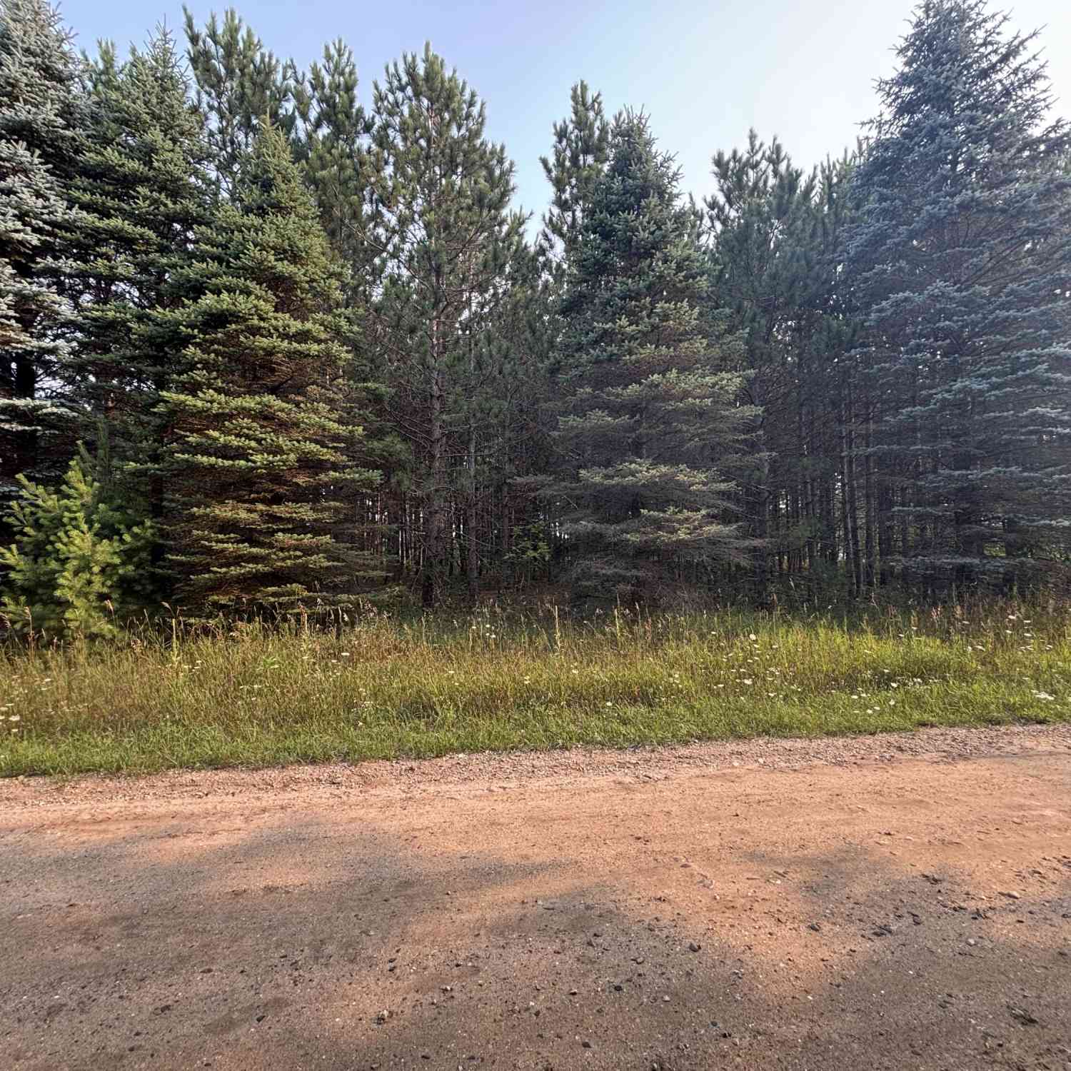 Vacant Land For Sale - Stonehouse Shores Rd<br/> Hersey, MI 49639