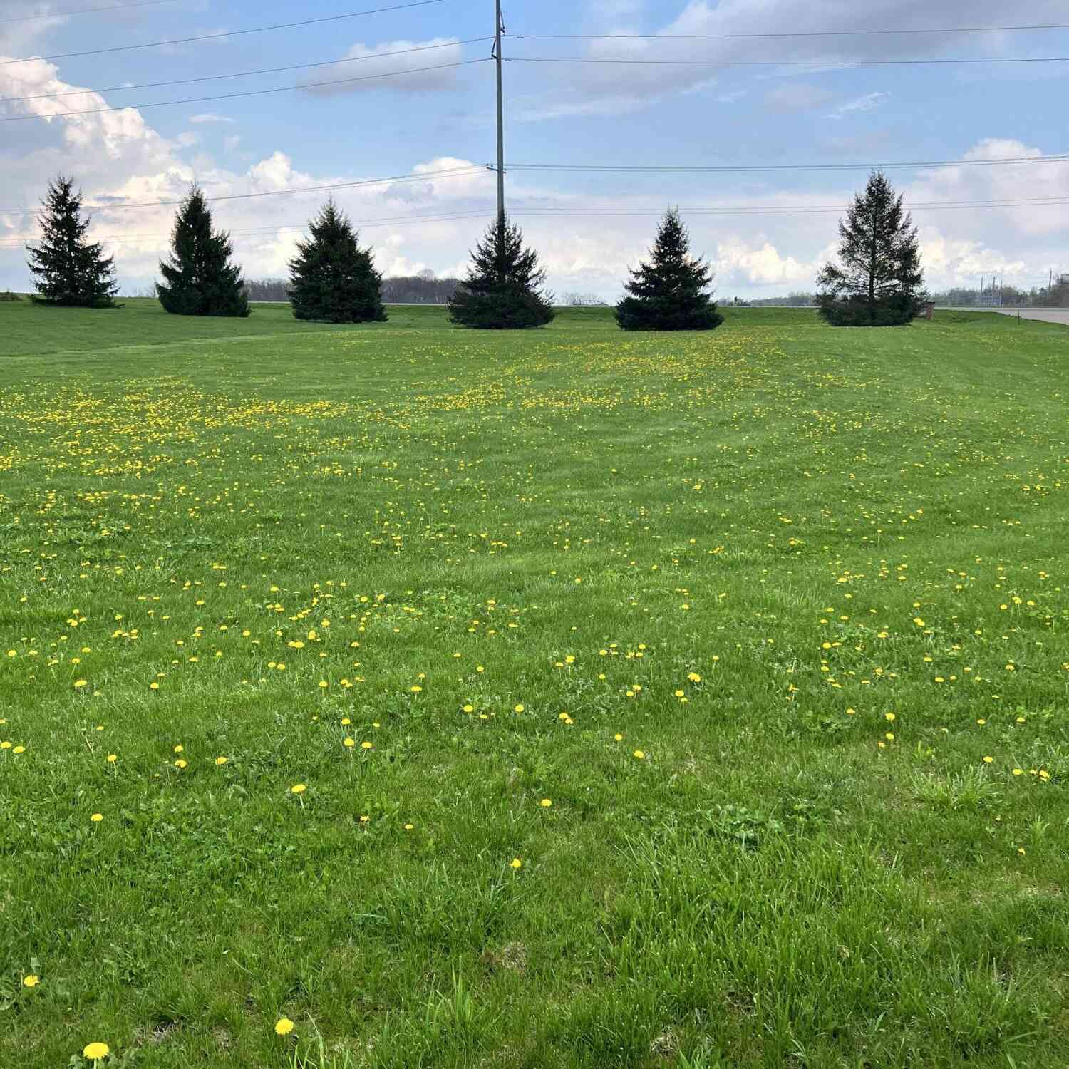 Vacant Land For Sale - Ryan Road #LOT 12<br/> Marcellus, MI 49067