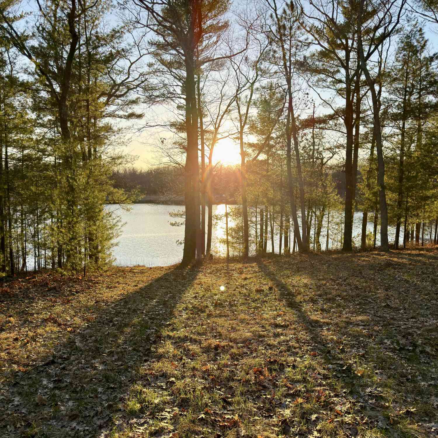 Vacant Land For Sale - V/L LOT 5 E Shingle Mill Way Way<br/> Manistee, MI 49660