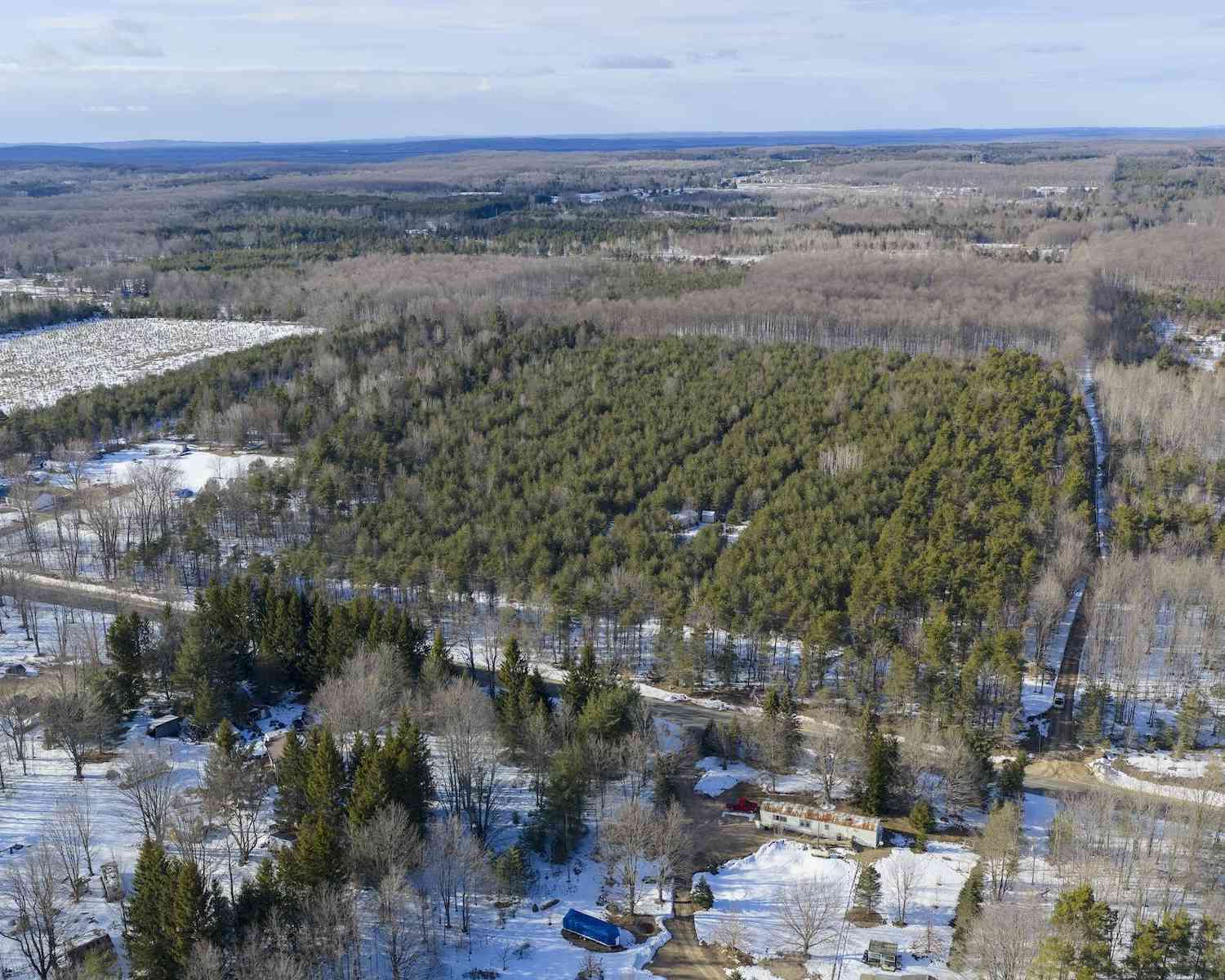 Vacant Land For Sale - 23444 Faylor Road<br/> Copemish, MI 49625