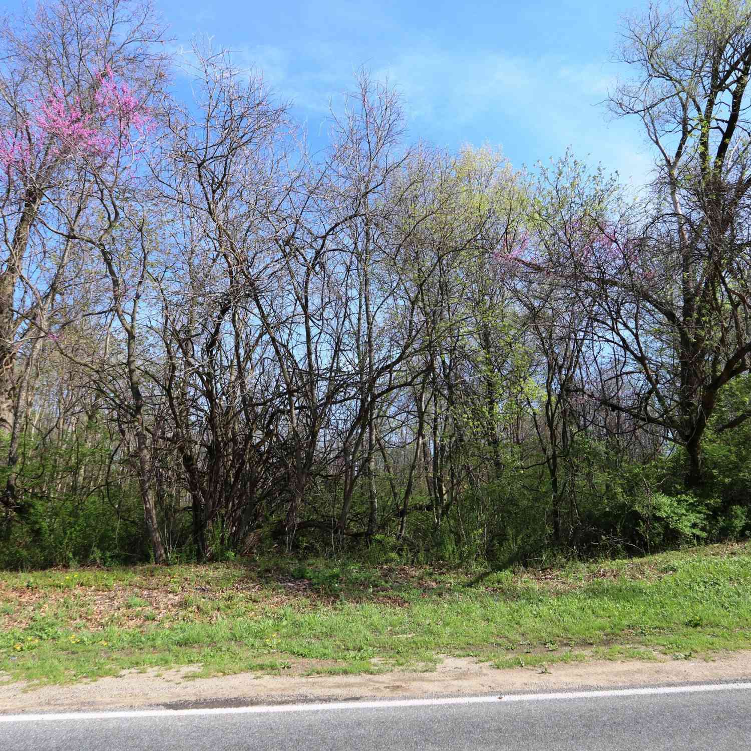 Vacant Land For Sale - 2807 S 13th Street<br/> Niles, MI 49120