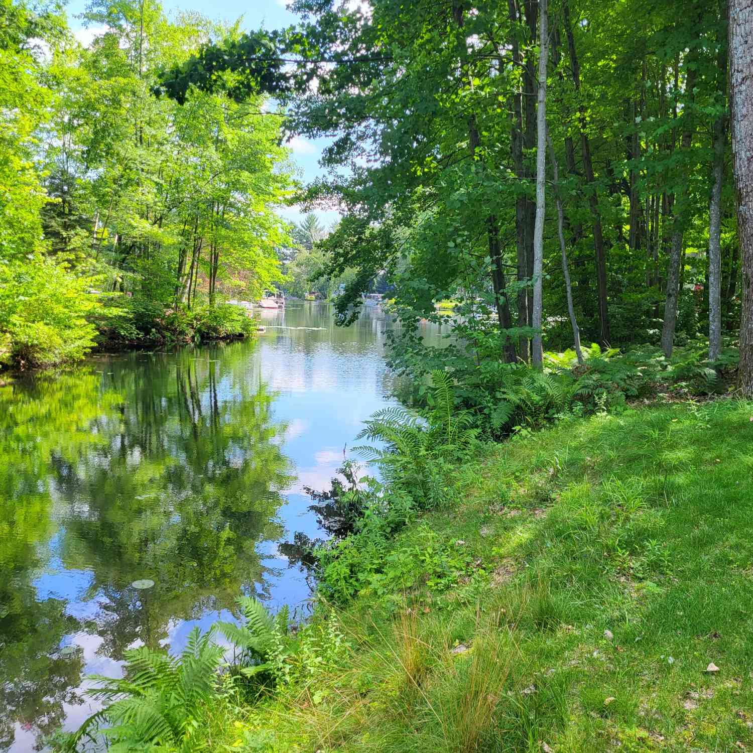 Vacant Land For Sale - TBD W School Section Lake Drive<br/> Mecosta, MI 49332