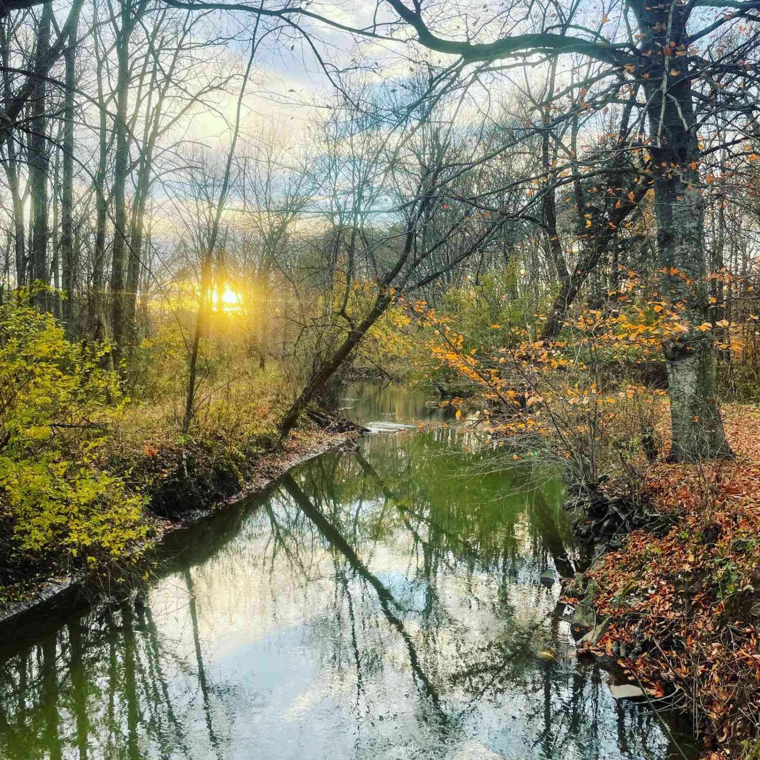 Vacant Land For Sale - 8040 W Martin Road<br/> Three Oaks, MI 49128