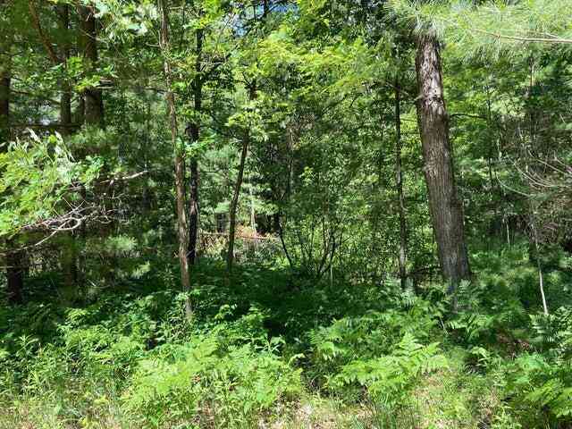 Vacant Land For Sale - A & B Old M-63<br/> Luther, MI 49656