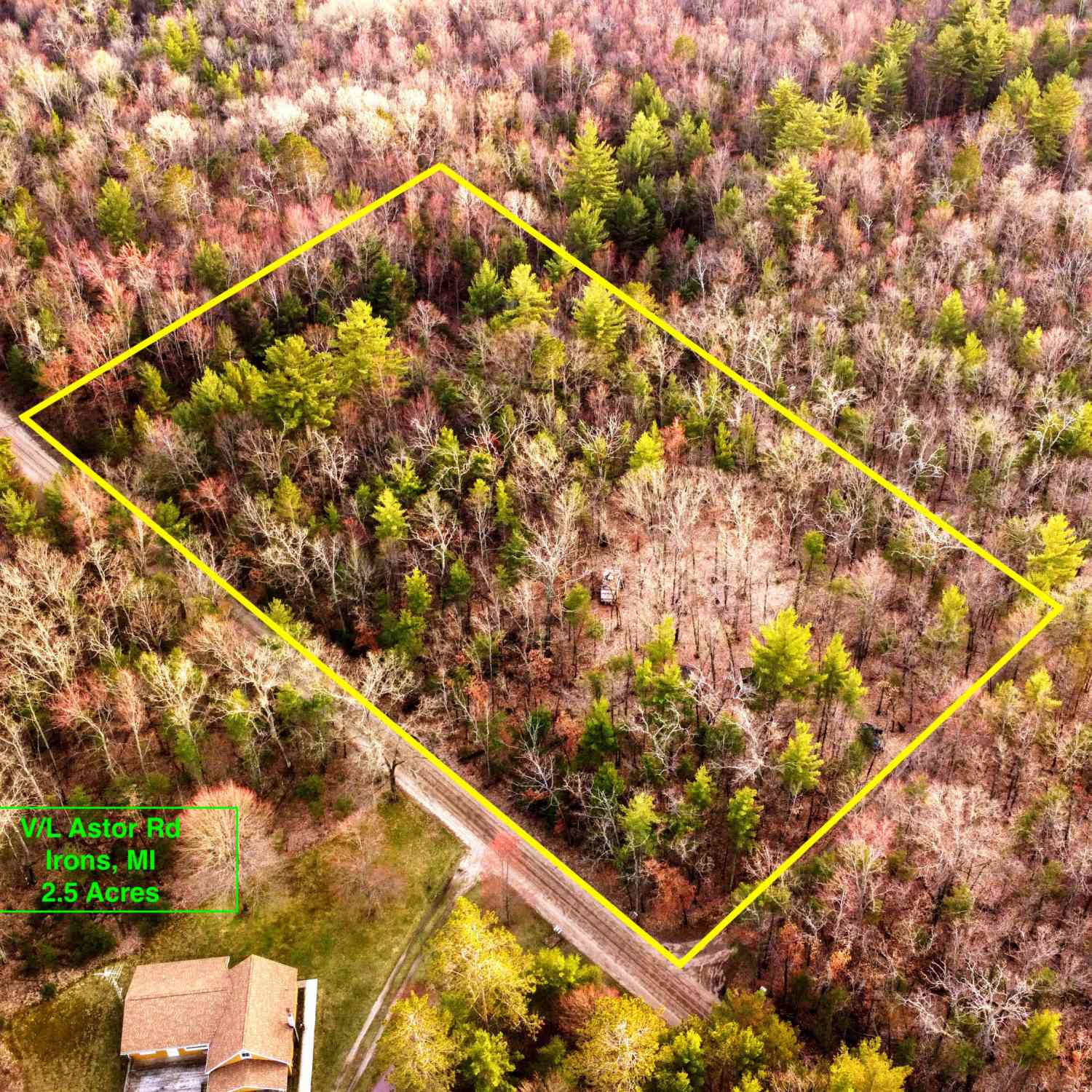 Vacant Land For Sale - V/L Astor Road<br/> Irons, MI 49644