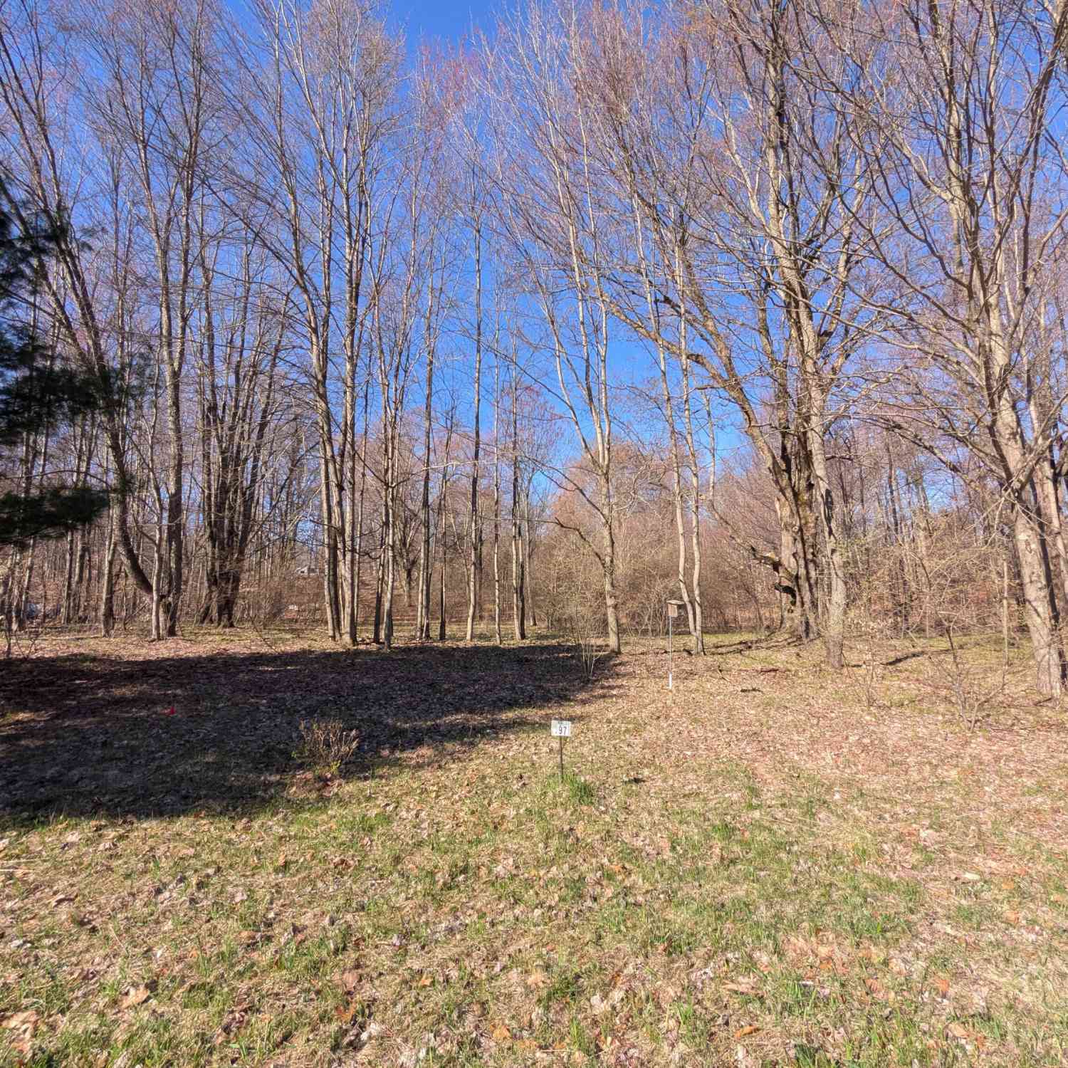 Vacant Land For Sale - 6465 Fox Den #197<br/> Custer, MI 49405