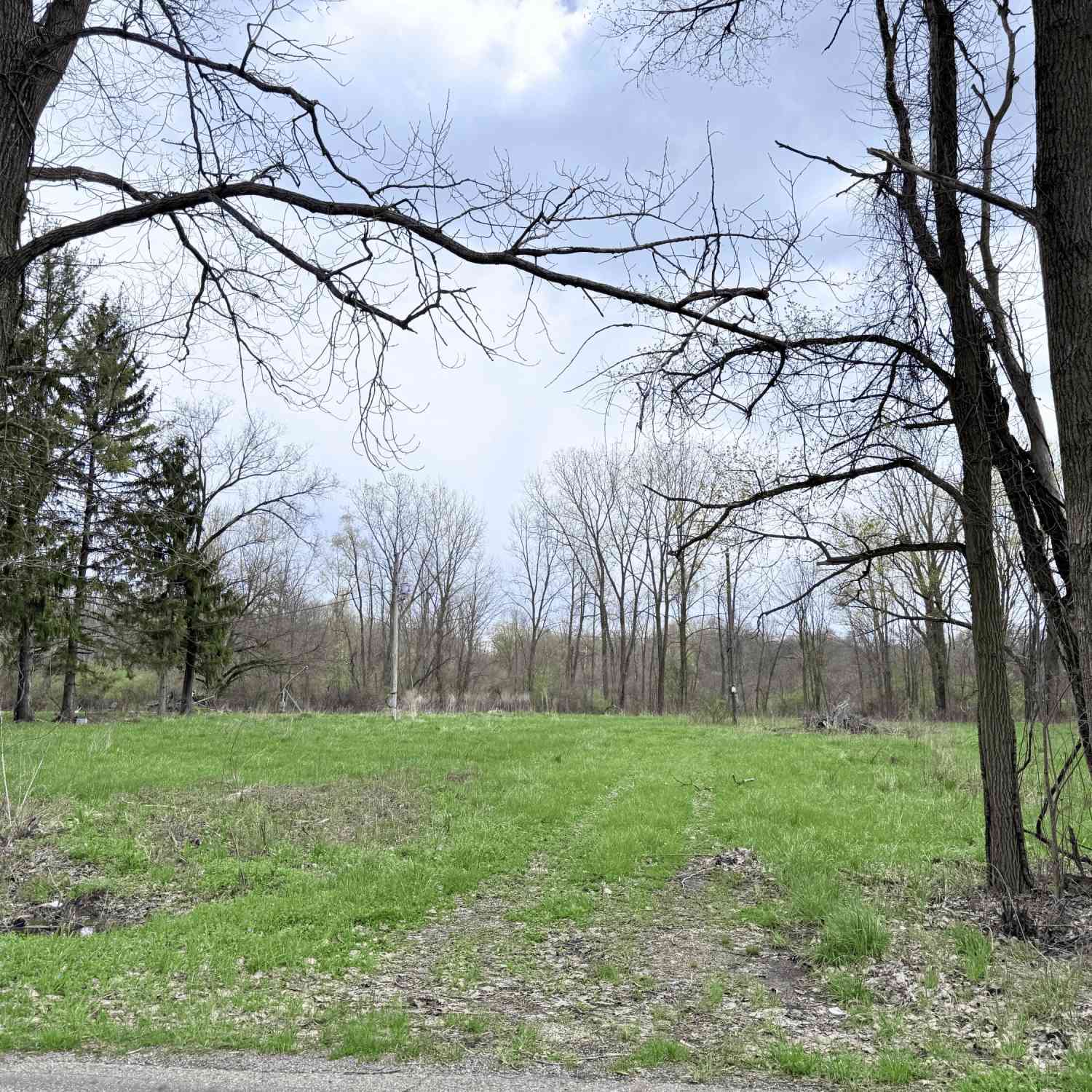 Vacant Land For Sale - 52151 Finch Road<br/> Marcellus, MI 49067