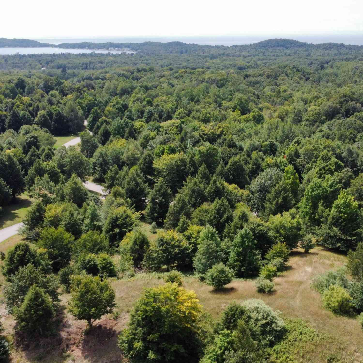 Vacant Land For Sale - 86 N Slope Drive<br/> Onekama, MI 49675