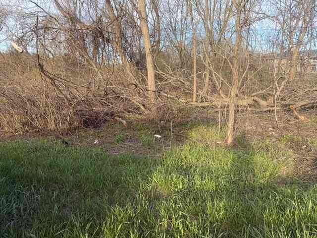 Vacant Land For Sale - S Mason Drive<br/> Newaygo County, Grant, MI 49327