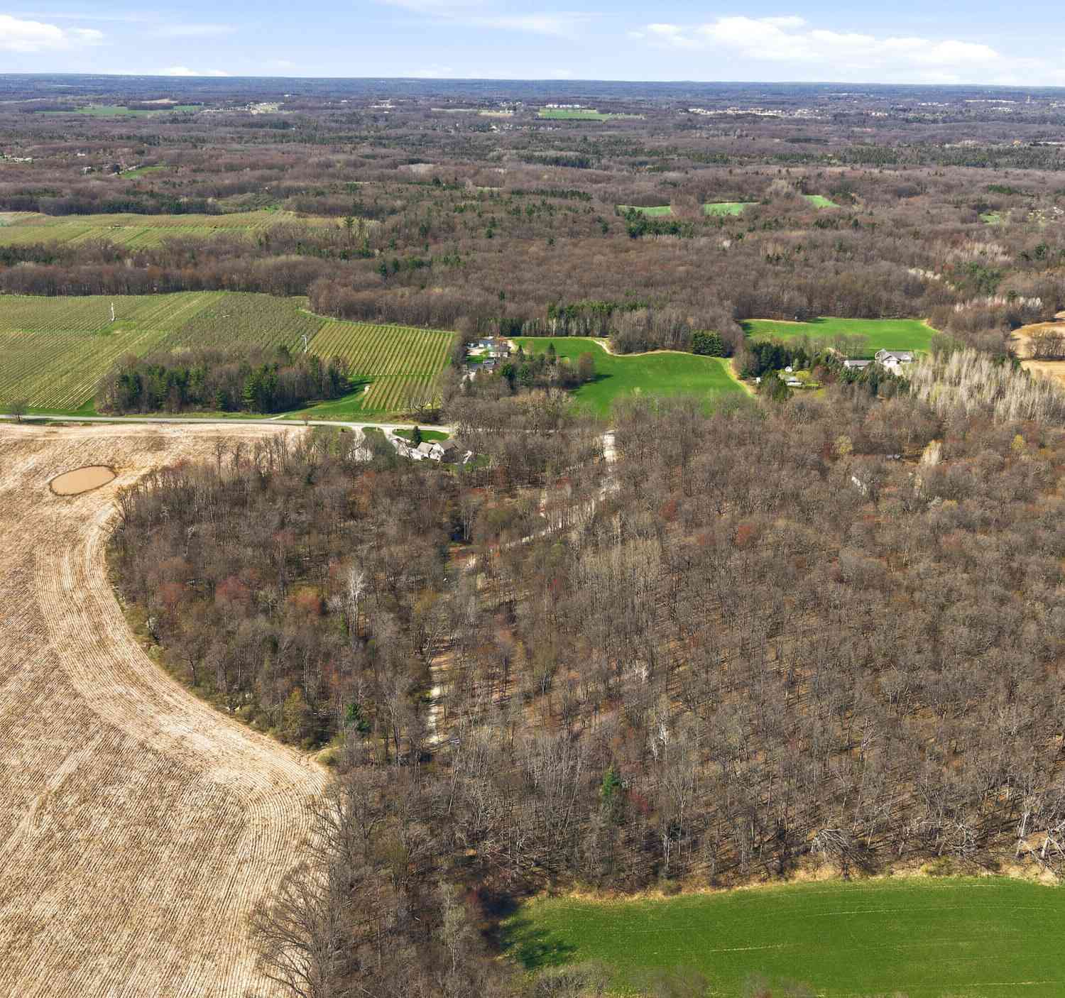 Vacant Land For Sale - W Bricker Rd<br/> Belding, MI 48809