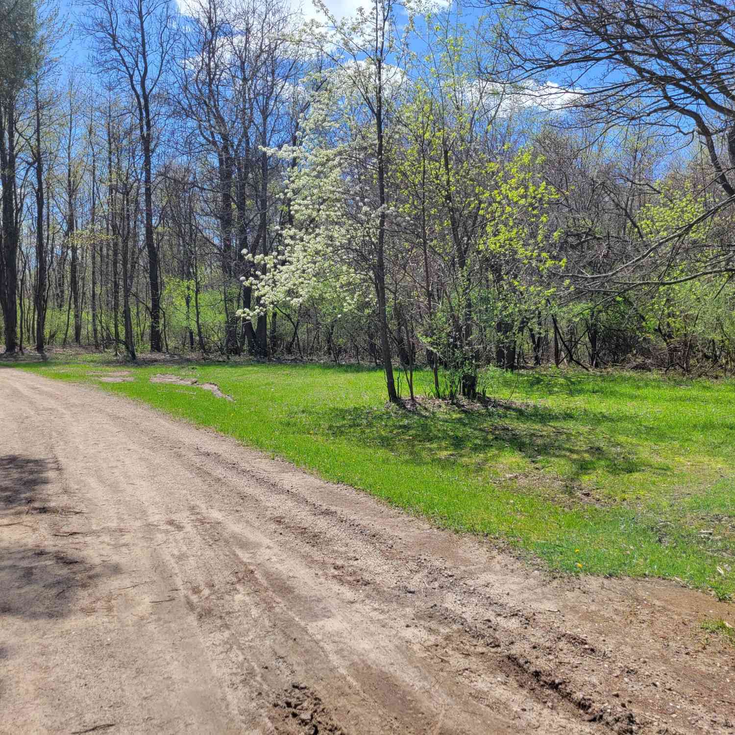 Vacant Land For Sale - 24228 Miami Avenue<br/> Grand Junction, MI 49056