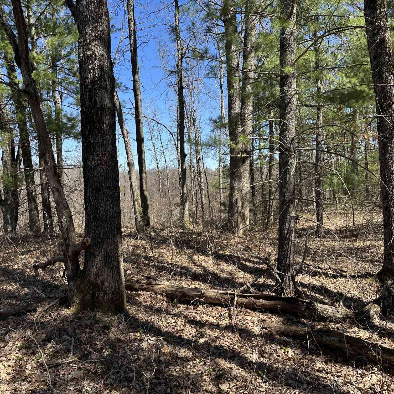 Vacant Land For Sale - 00 S Dillard Street<br/> Baldwin, MI 49304