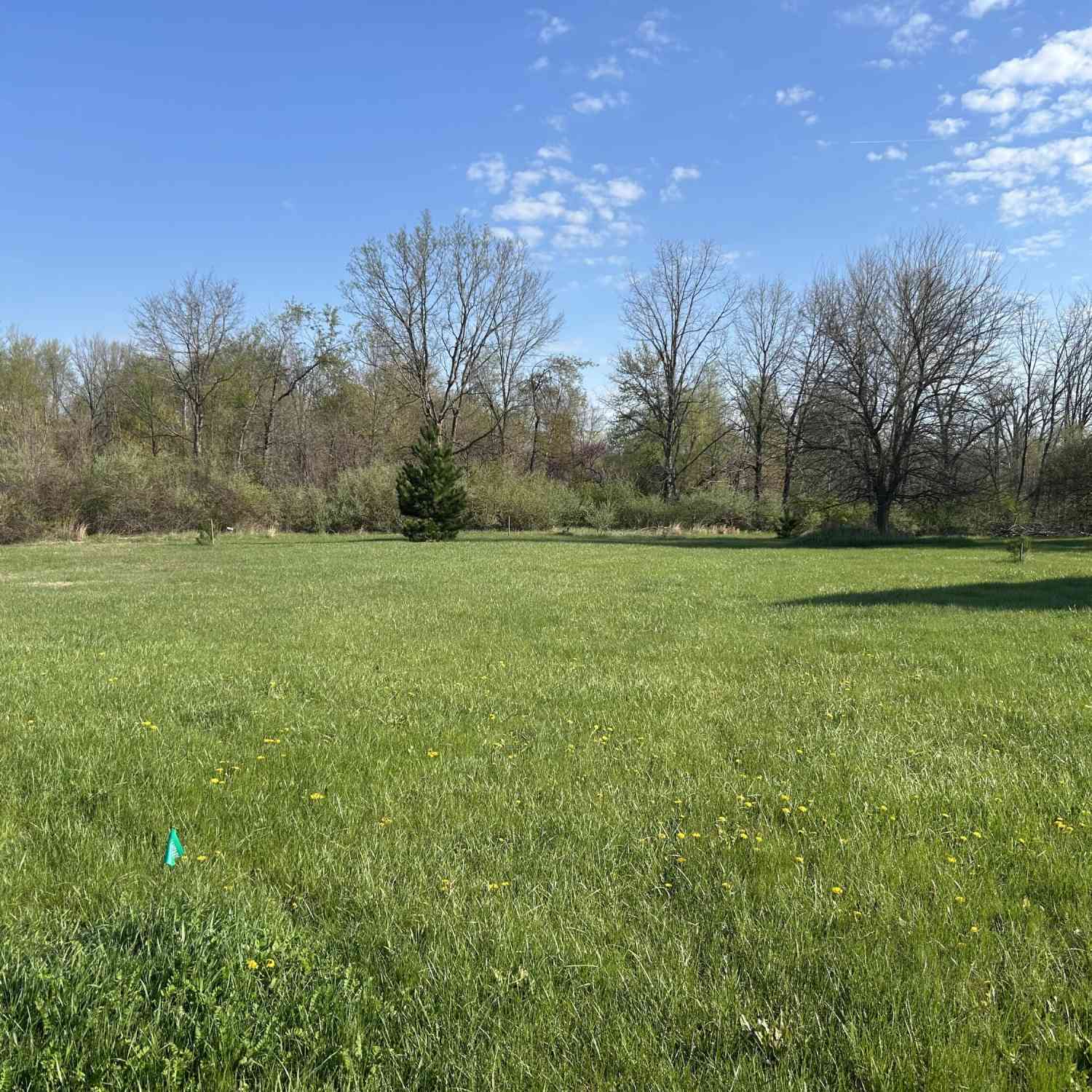 Vacant Land For Sale - 280 Canfield Street<br/> Milan, MI 48160