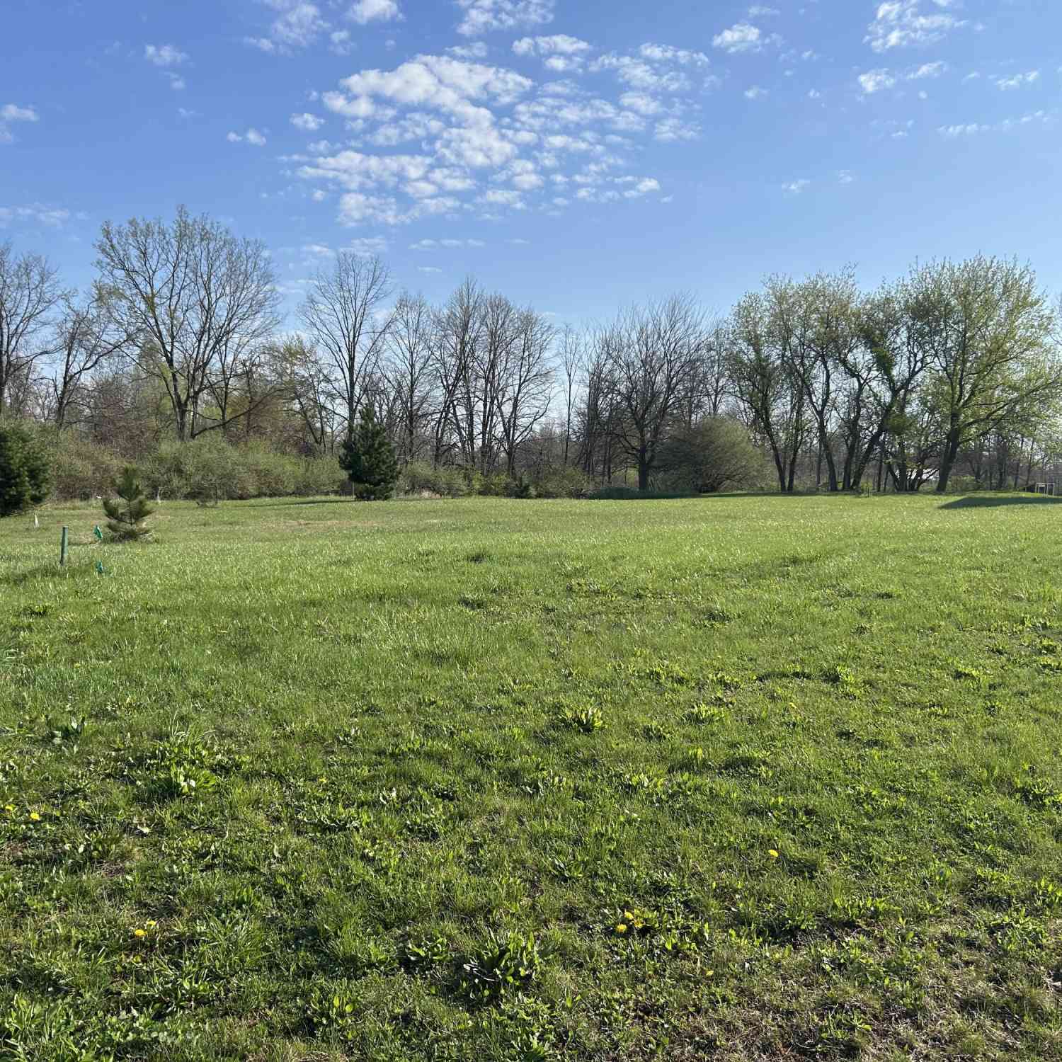 Vacant Land For Sale - 262 Canfield Street<br/> Milan, MI 48160