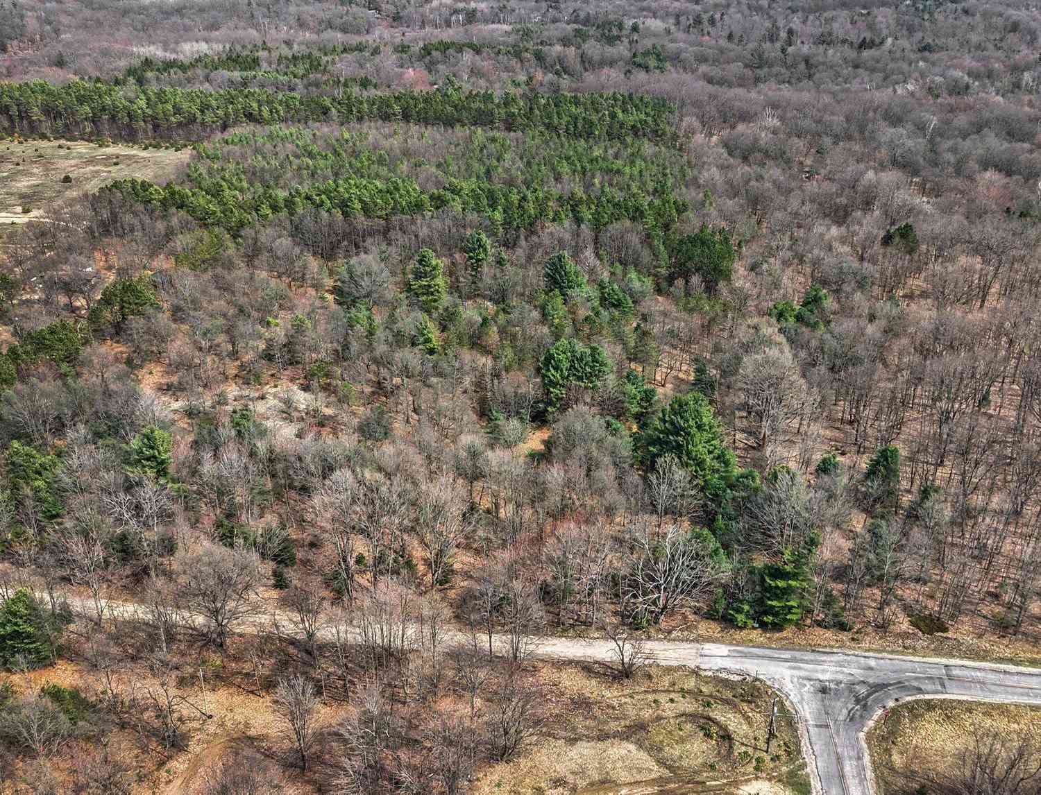 Vacant Land For Sale - V/L N 56th Avenue<br/> Mears, MI 49436