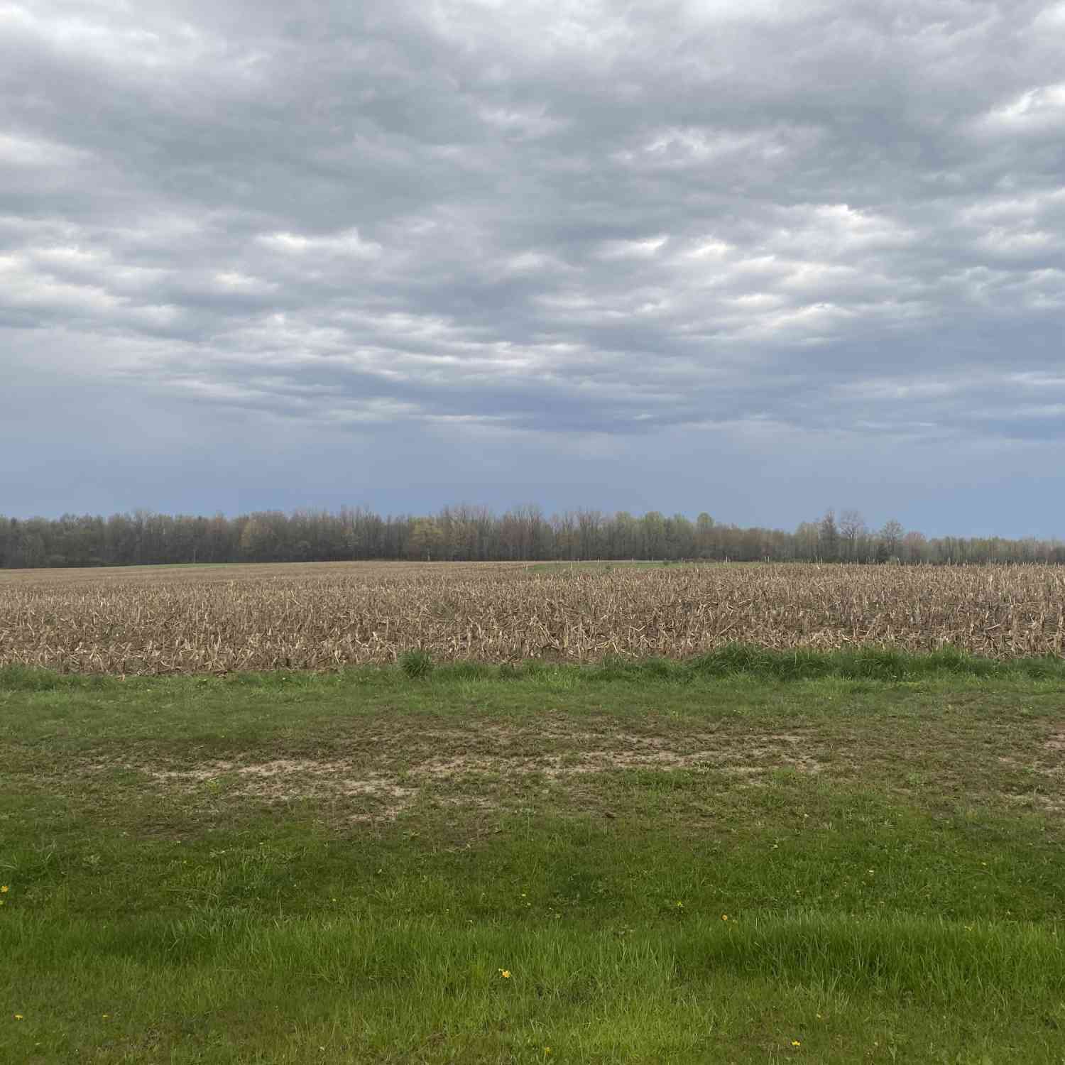 Vacant Land For Sale - V/L S 16th Avenue<br/> Grand Junction, MI 49056