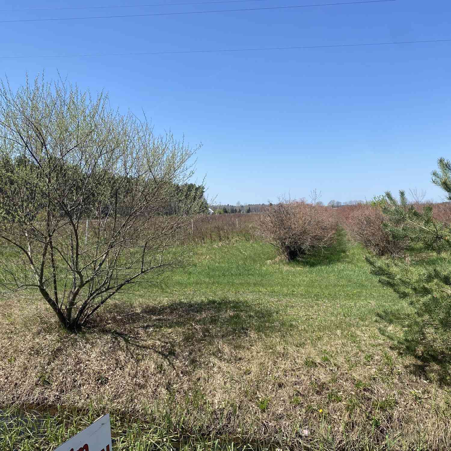 Vacant Land For Sale - VL S Wolf Lake Road #B<br/> Fruitport, MI 49415