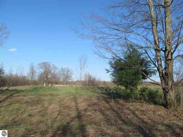Vacant Land For Sale - 000 90th Avenue<br/> Evart, MI 49631