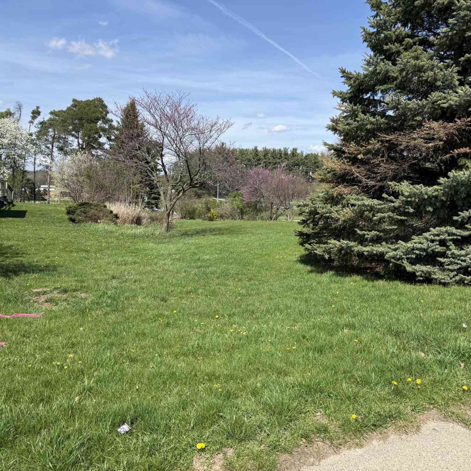 Vacant Land For Sale - 1703 Richmond Street<br/> Grand Rapids, MI 49504