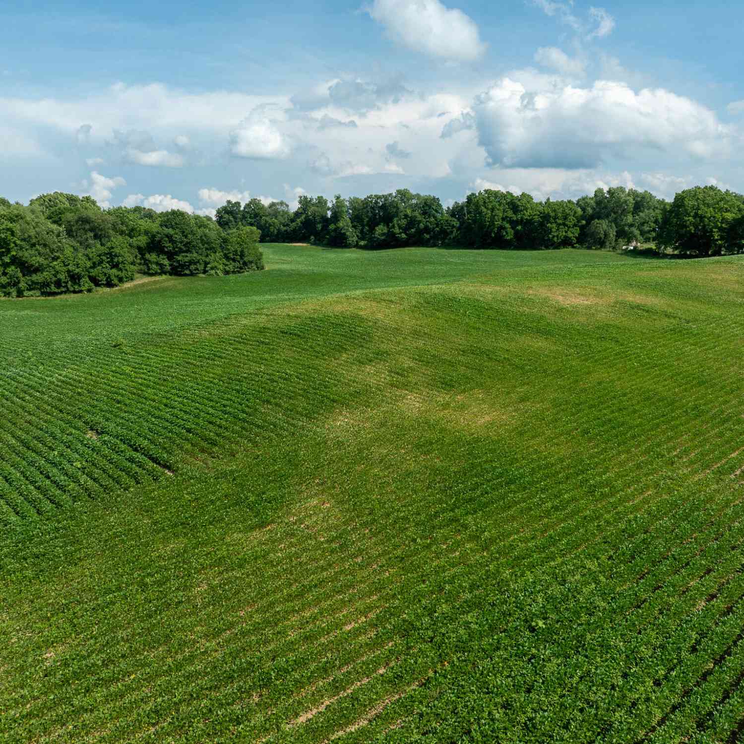 Vacant Land For Sale - 13ACRES 19th Street<br/> Hopkins, MI 49328