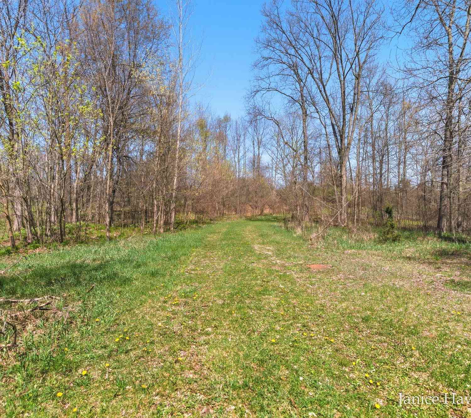 Vacant Land For Sale - 700 E Woodlawn Avenue<br/> Hastings, MI 49058