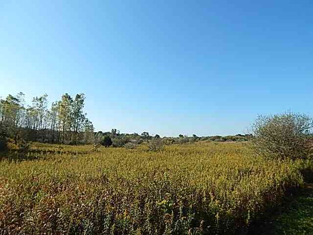 Vacant Land For Sale - 2857 Oakley Road<br/> Ingham County, Stockbridge, MI 49285
