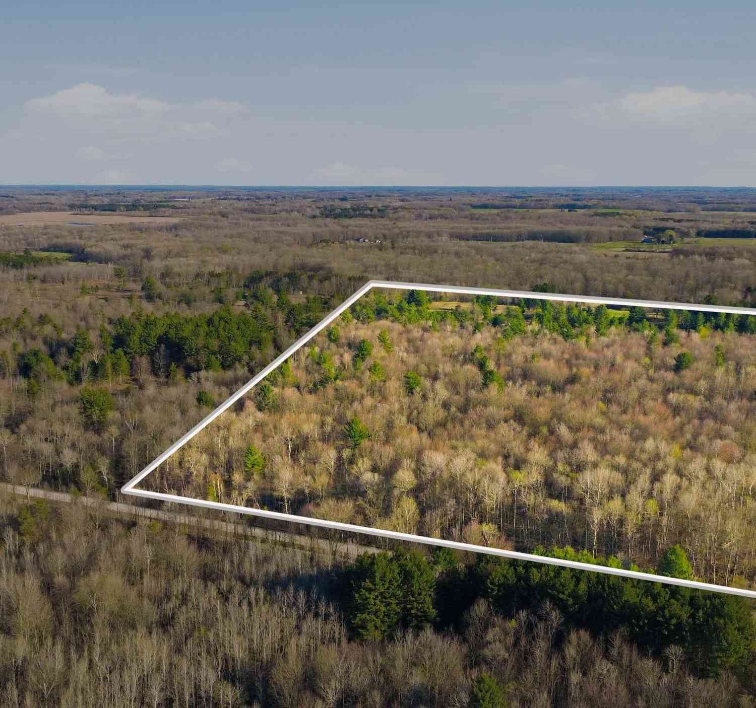 Vacant Land For Sale - 123 Beyer Road<br/> Free Soil, MI 49411