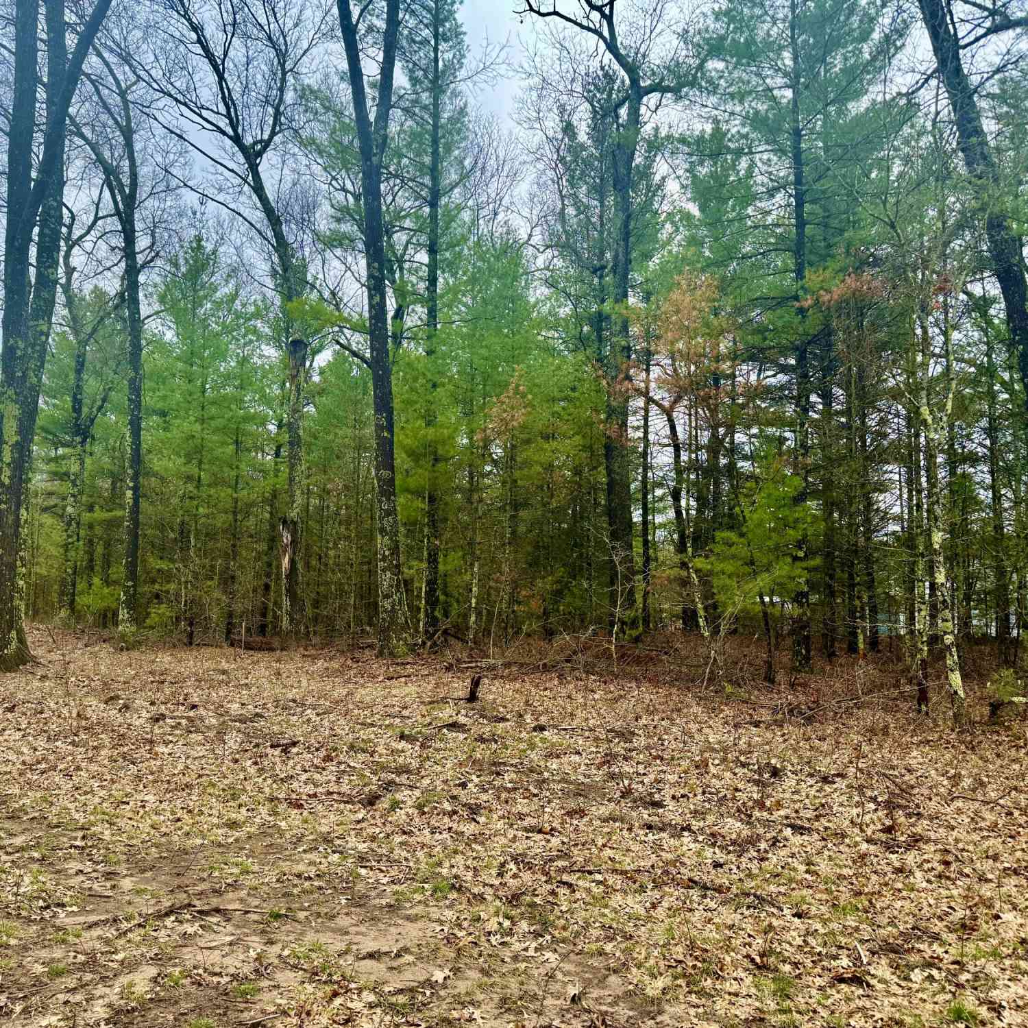 Vacant Land For Sale - 1127 Chicago Drive #19<br/> Whitehall, MI 49461