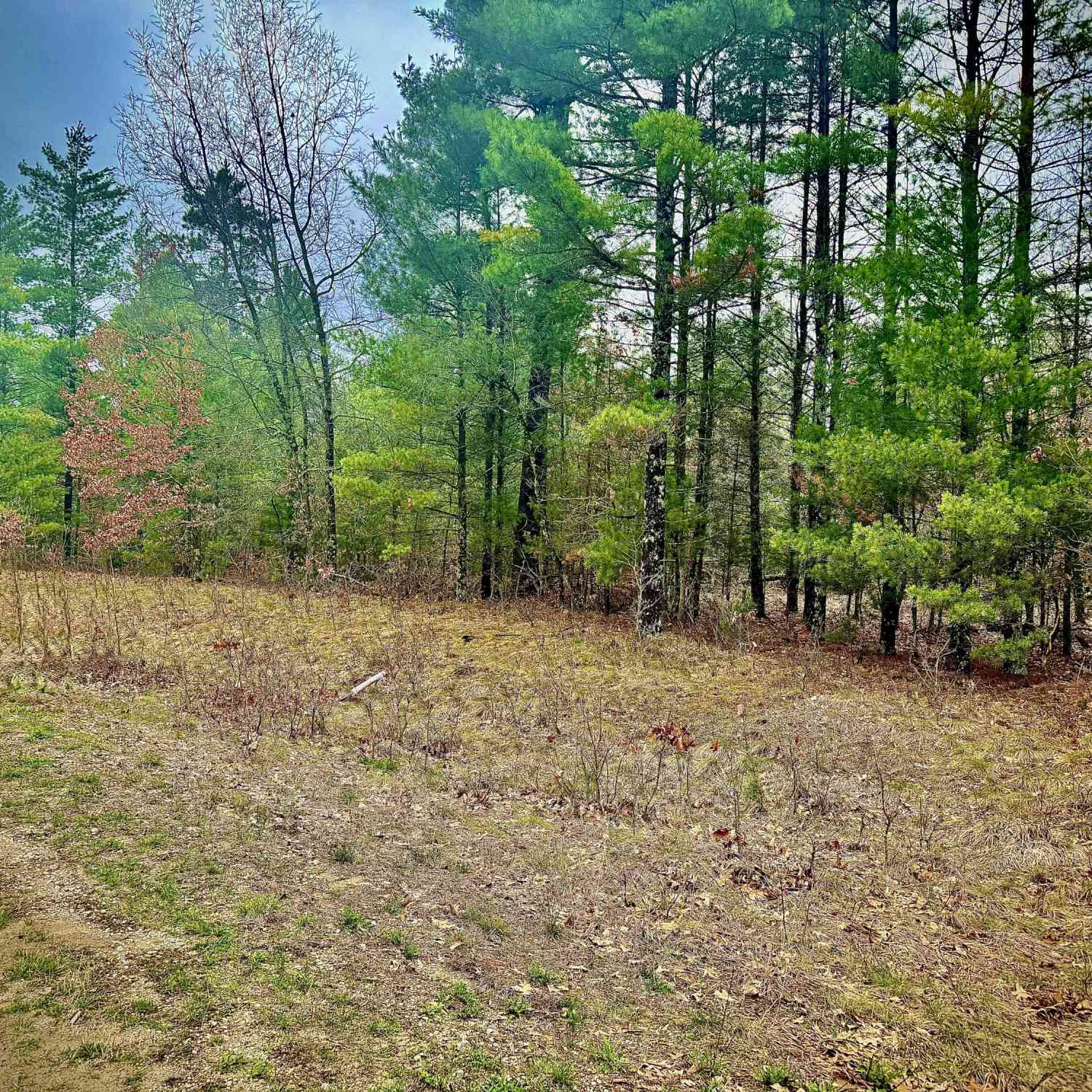 Vacant Land For Sale - 1242 Sydney Street #33<br/> Whitehall, MI 49461