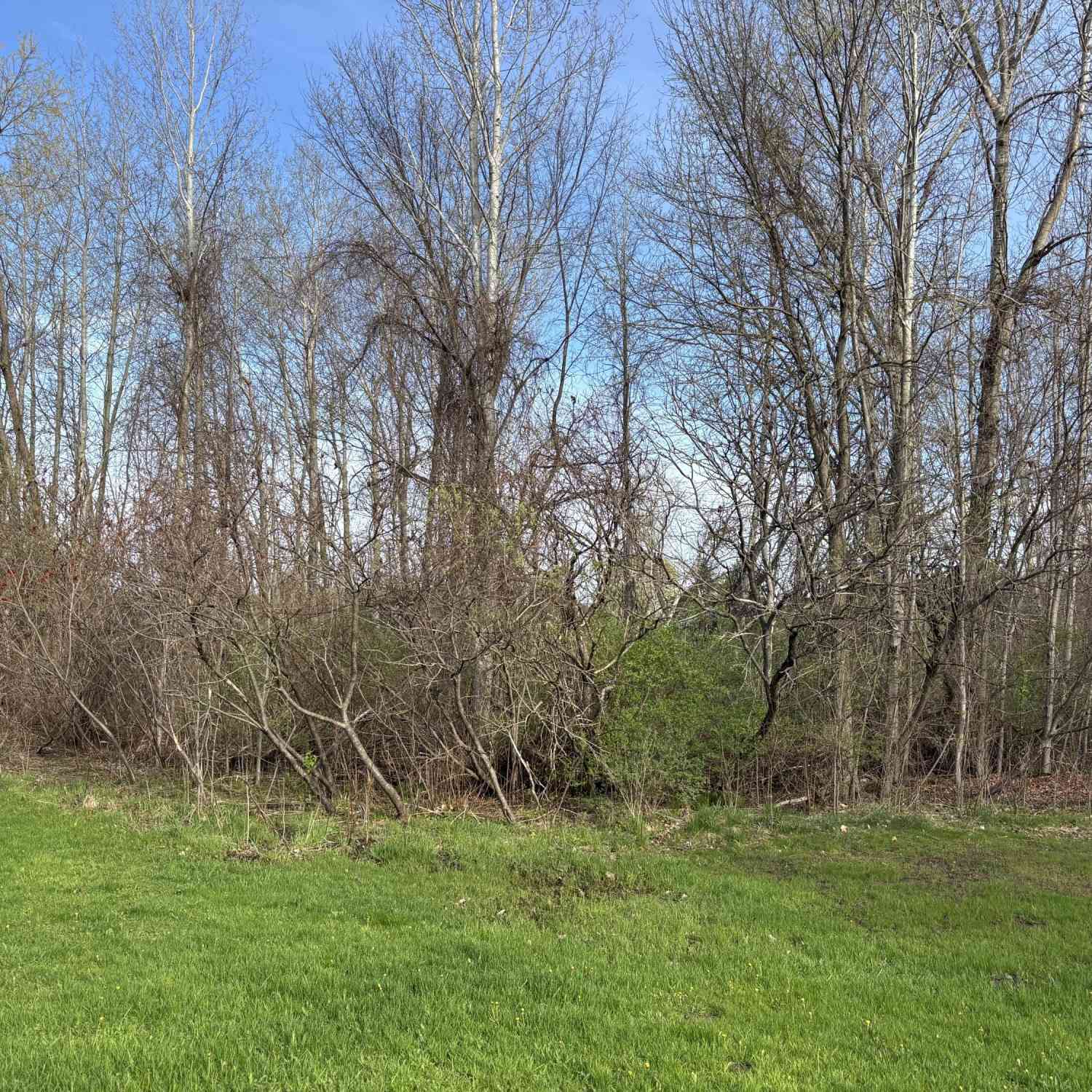 Vacant Land For Sale - V/L W Melody Lane<br/> Hart, MI 49420