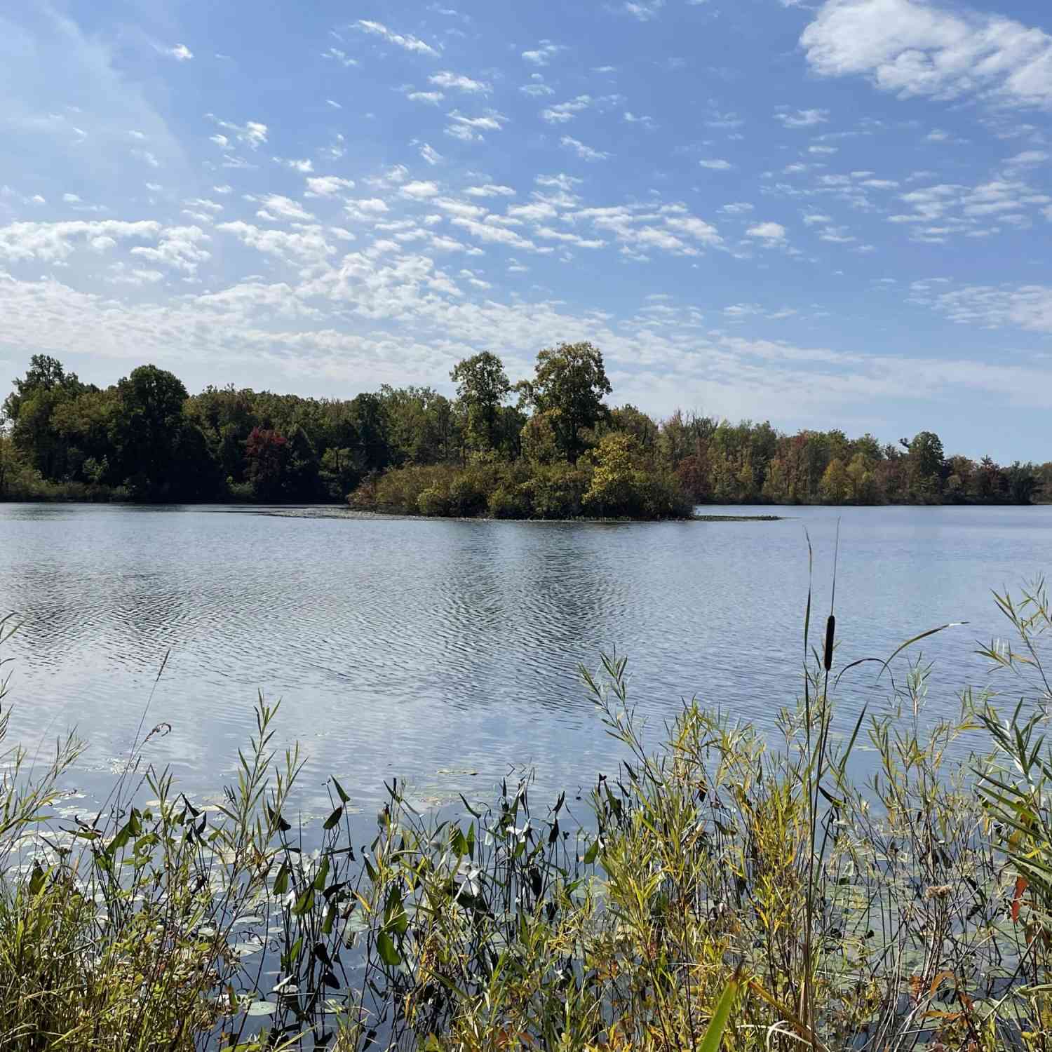 Vacant Land For Sale - VL Cr 380<br/> Grand Junction, MI 49056