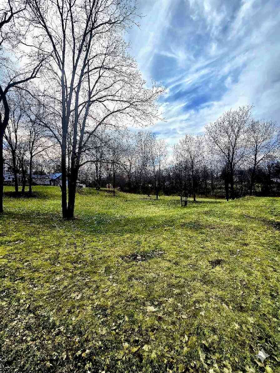 Vacant Land For Sale - TBD Mcpherson Street<br/> Stanton, MI 48888