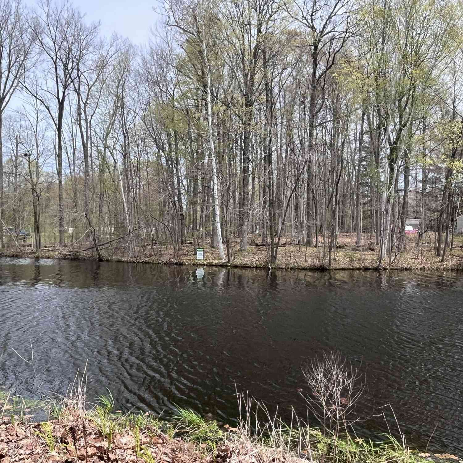 Vacant Land For Sale - LOT 160 E Shore Drive<br/> Stanton, MI 48888