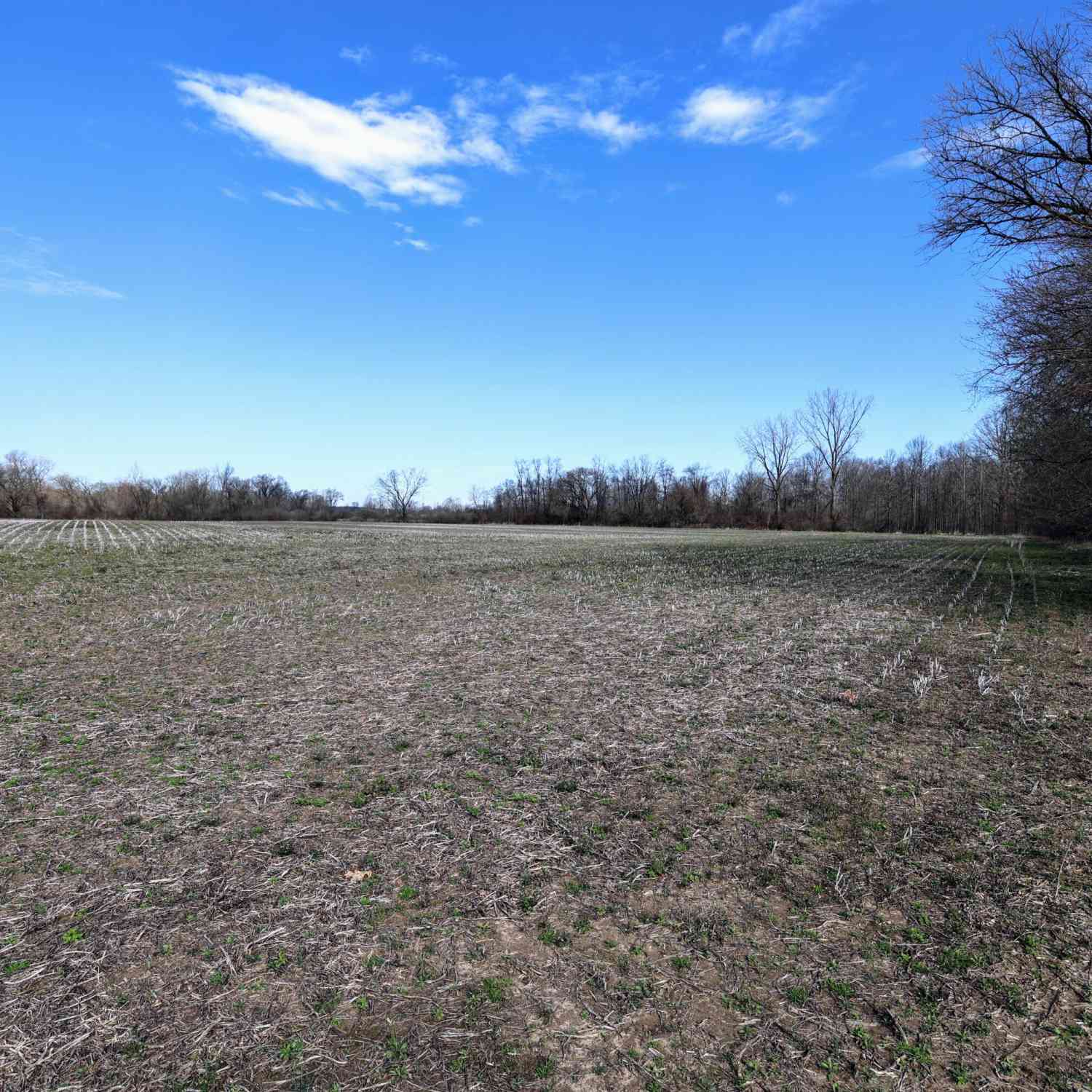 Vacant Land For Sale - VL Cr 352<br/> Decatur, MI 49045