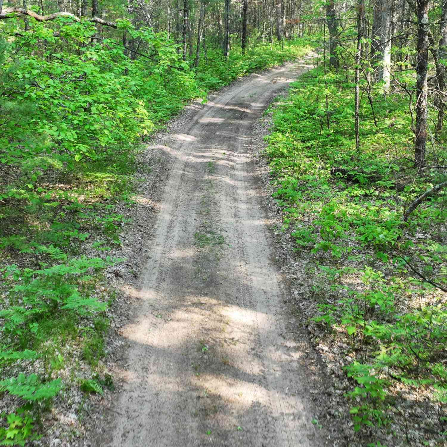Vacant Land For Sale - V/L Benson Rd / Frd 5259<br/> Free Soil, MI 49411