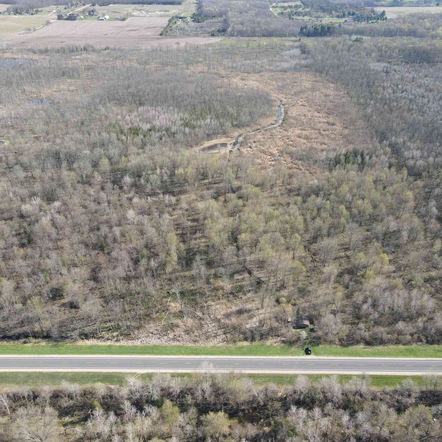 Vacant Land For Sale - 6095 E M 20<br/> Hesperia, MI 49421