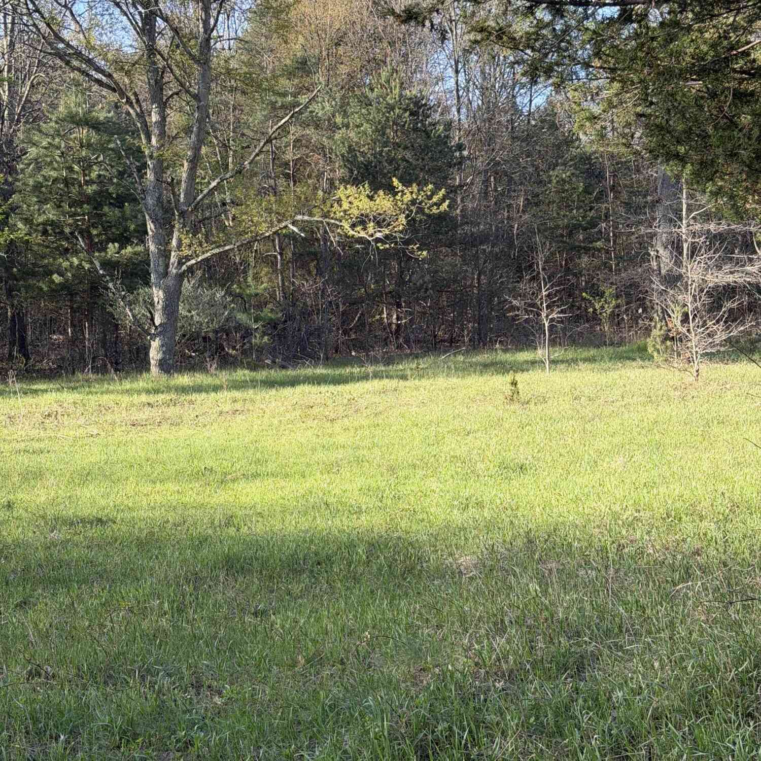 Vacant Land For Sale - 5409 105th Avenue<br/> Pullman, MI 49450