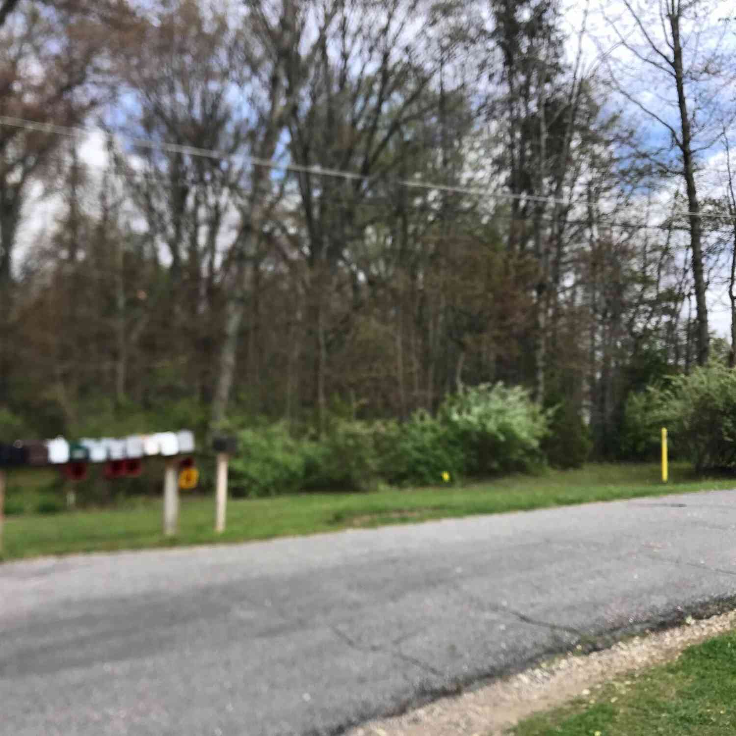 Vacant Land For Sale - VL Pine Street<br/> Dowagiac, MI 49047