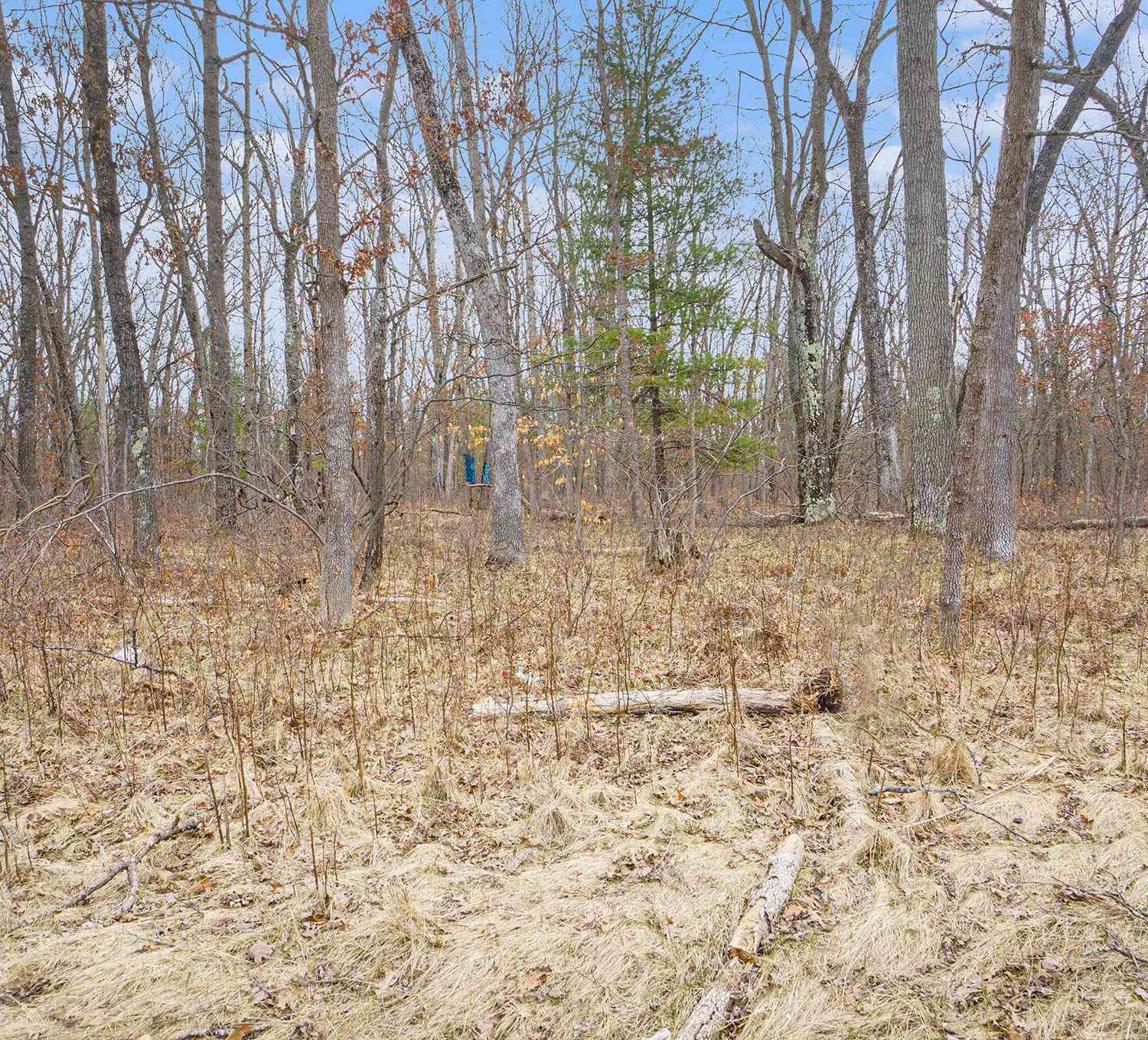 Vacant Land For Sale - V/L N Woodbridge Road<br/> Newaygo County, Bitely, MI 49309