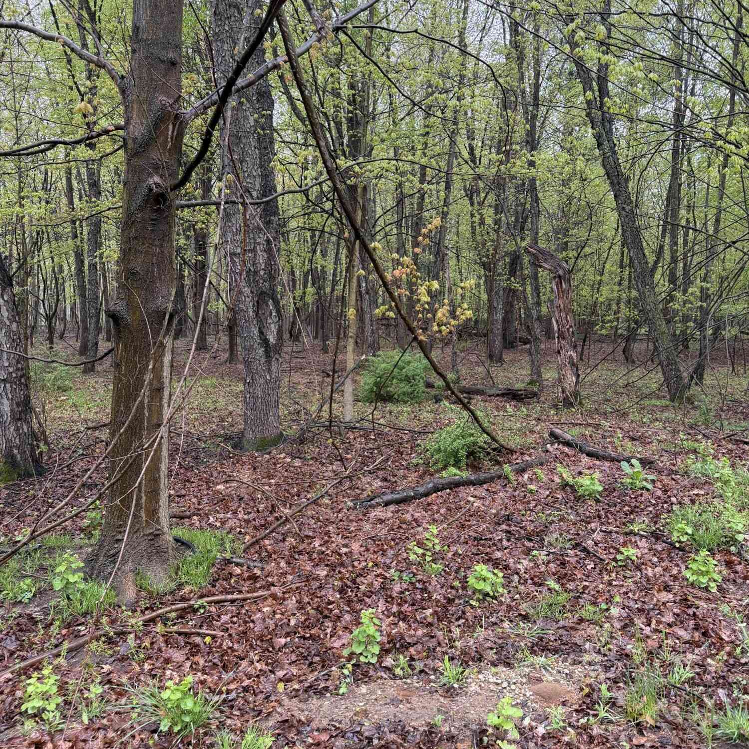 Vacant Land For Sale - LOT 2 Christopher Lane<br/> South Haven, MI 49090