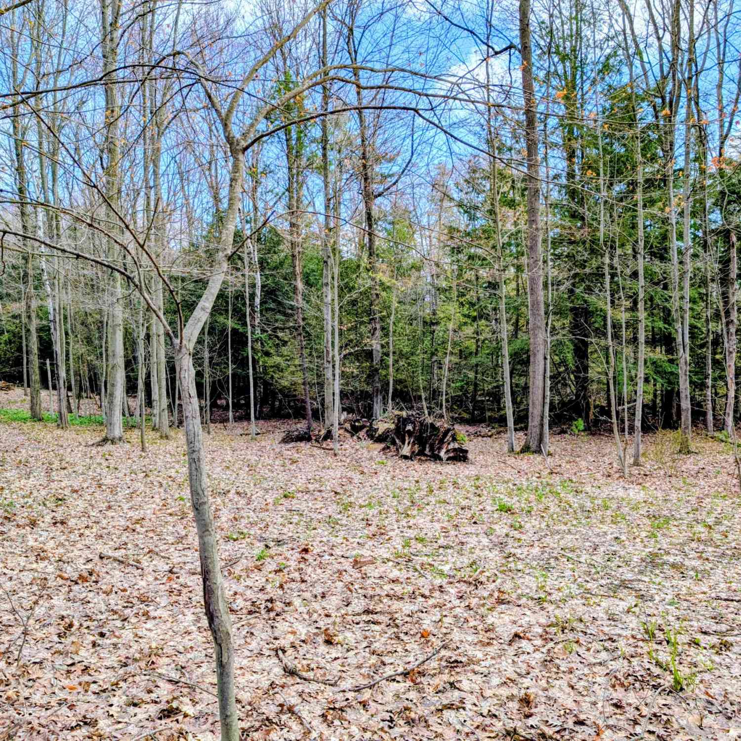 Vacant Land For Sale - VL W Jagger Road<br/> Ludington, MI 49431