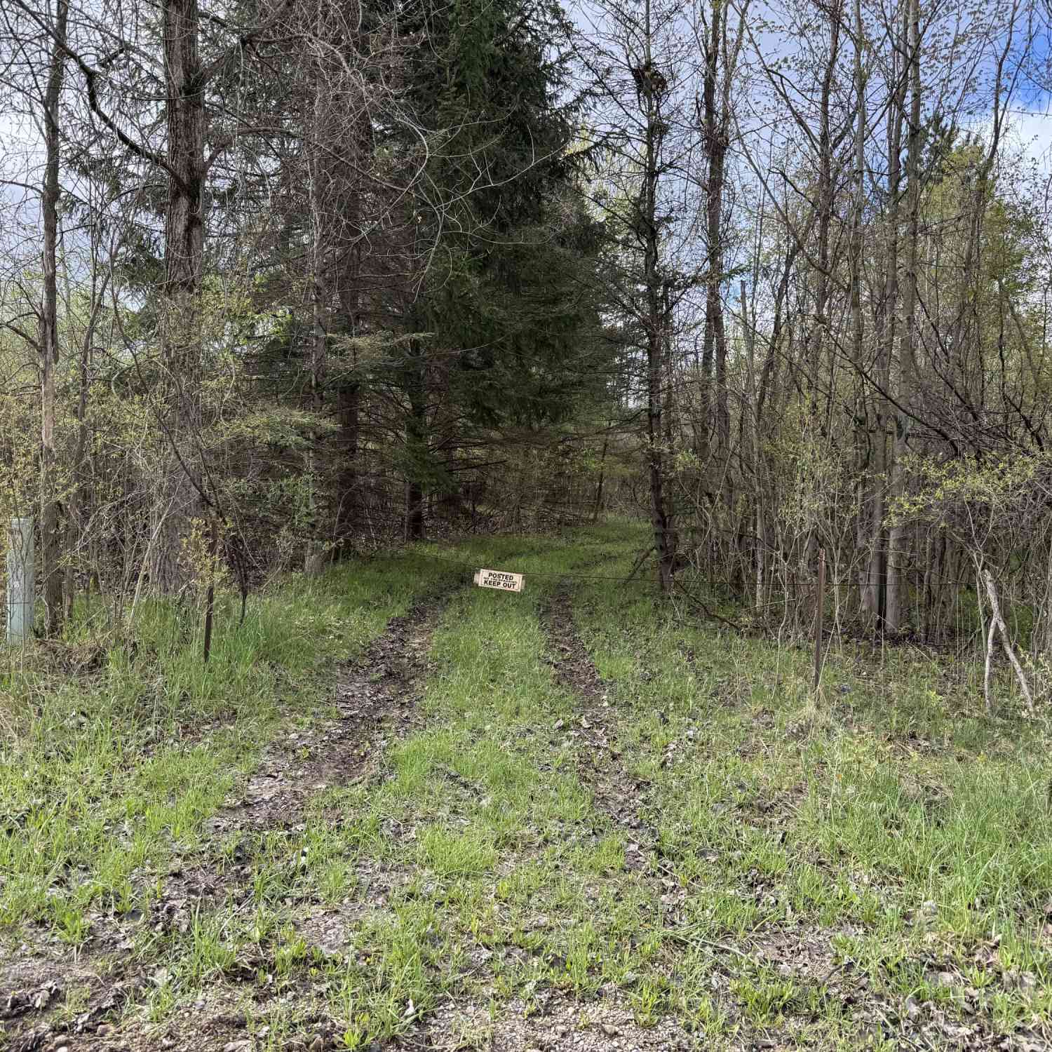 Vacant Land For Sale - 6920 Pringle Street<br/> Sand Lake, MI 49343