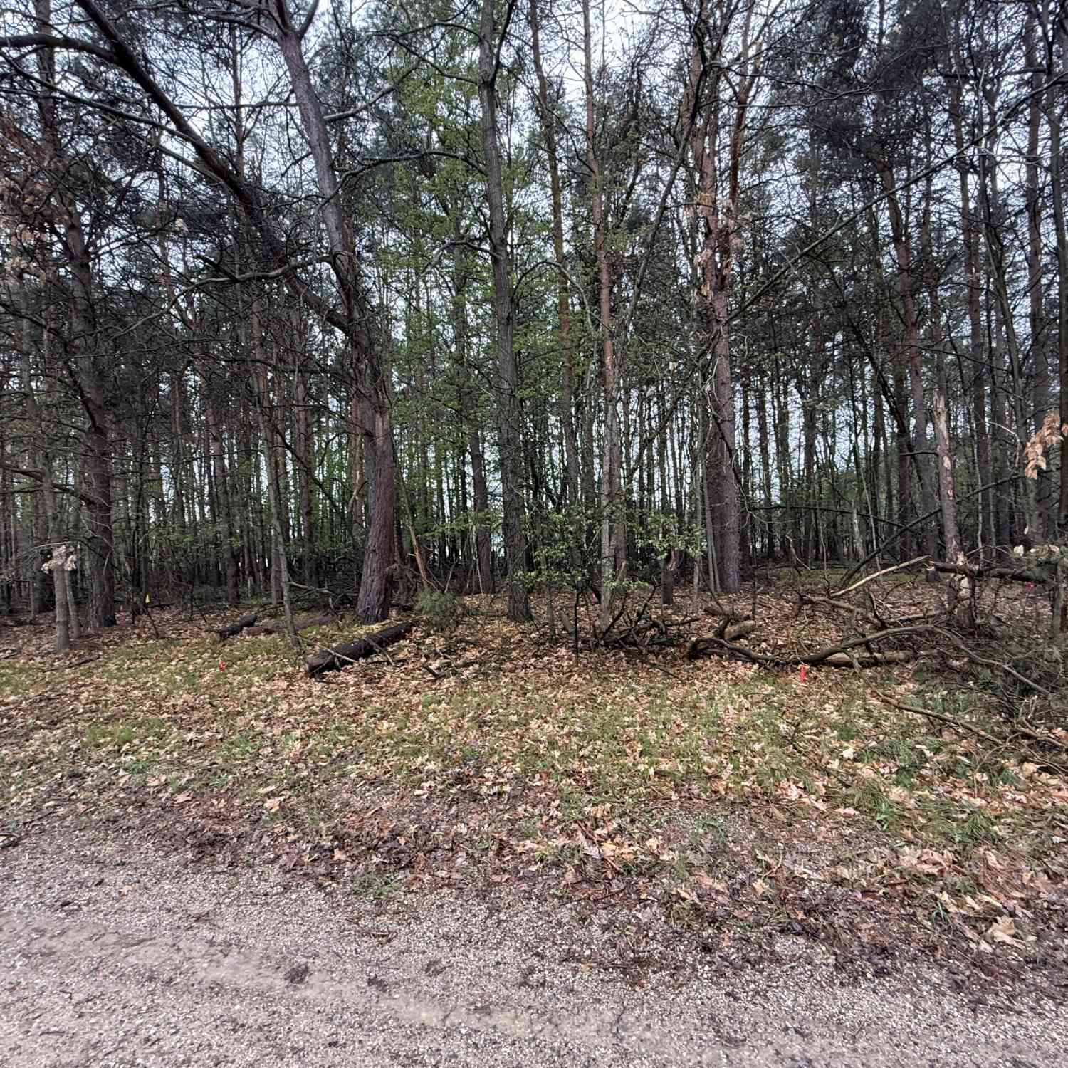 Vacant Land For Sale - 7745 Lakeview Drive<br/> Stanwood, MI 49346