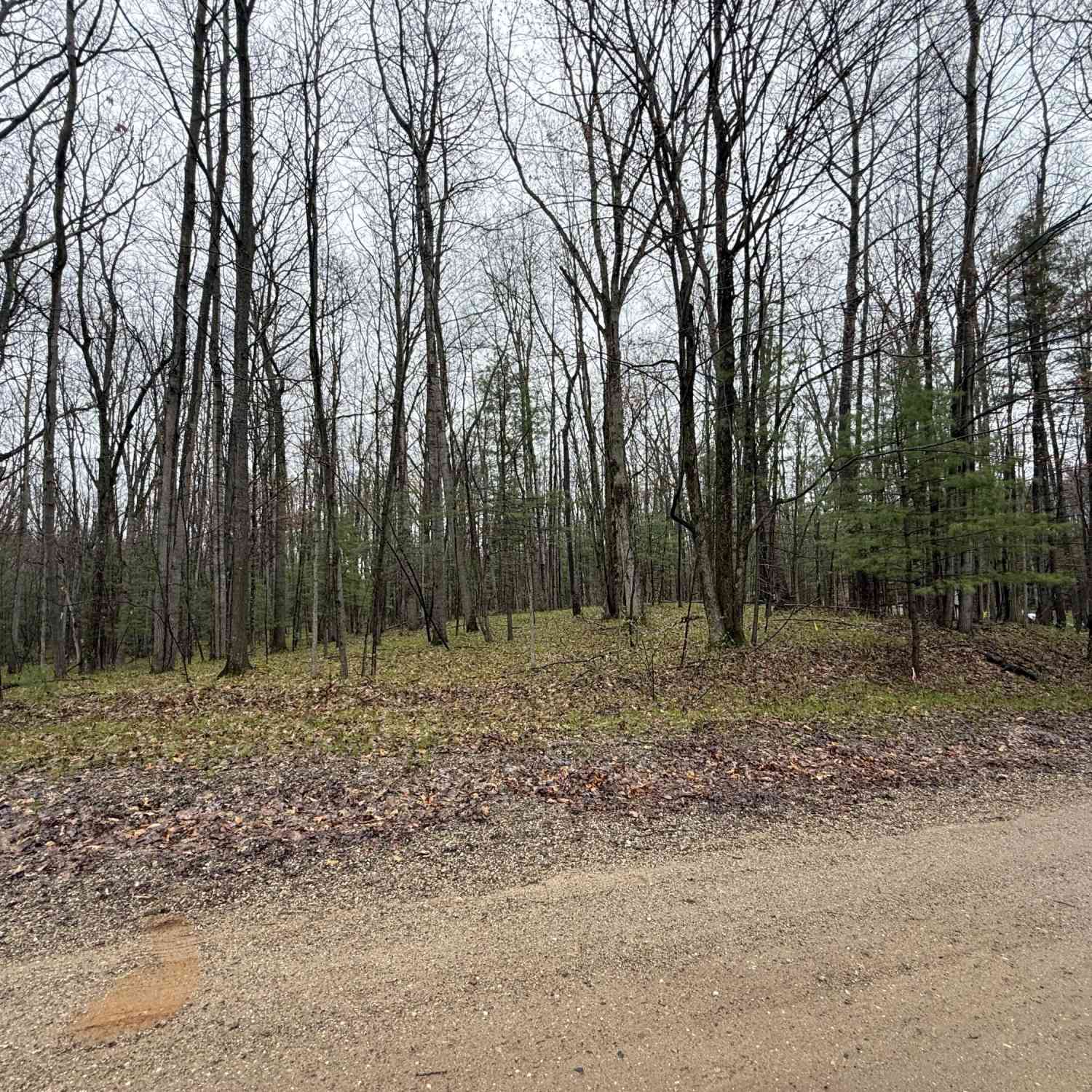 Vacant Land For Sale - 8278 Highland Trail<br/> Stanwood, MI 49346