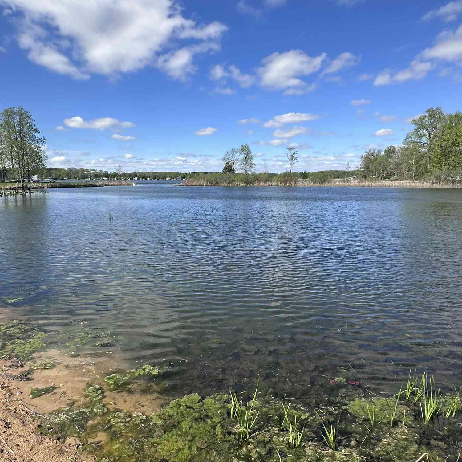 Vacant Land For Sale - VL Horseshoe Cove<br/> Allegan, MI 49010