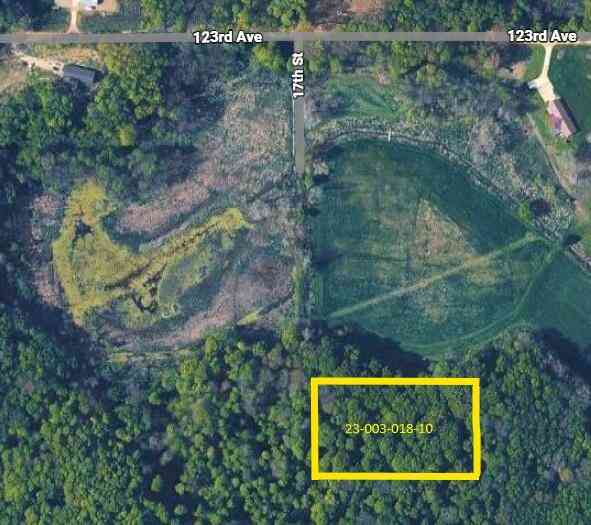 Vacant Land For Sale - 17th Street<br/> Hopkins, MI 49328